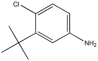 3-tert-Butyl-4-chloro-phenylamine,,结构式