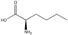 R-2-aminohexanoic acid Struktur
