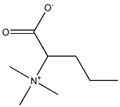 Propyl betaine Structure