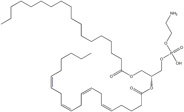  1-octadecanoyl-2-(5Z,8Z,11Z,14Z-eicosatetraenoyl)-sn-glycero-3-phosphoethanolamine