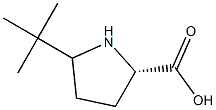 5-tert-butylproline