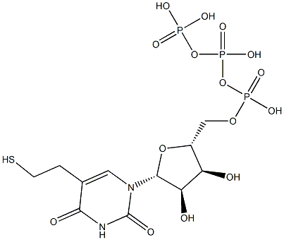 5-(2-mercaptoethyl)uridine triphosphate|