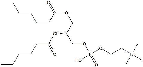 1,2-dihexanoyl-sn-glycero-3-phosphorylcholine