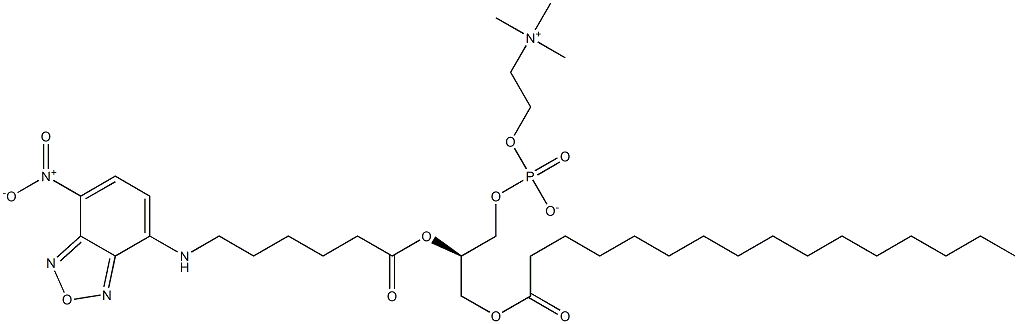 1-palmitoyl-2-(N-(7-nitrobenz-2-oxa-1,3-diazol-4-yl)aminohexanoyl)-sn-glycero-3-phosphocholine