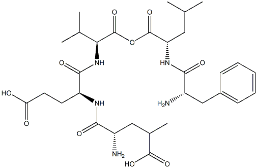 phenylalanyl-leucyl-gamma-methylglutamyl-glutamyl-valine