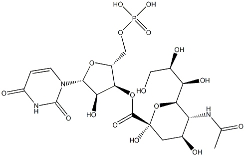 uridine monophosphate N-acetylneuraminic acid Structure