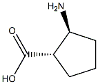 (1S,2S)-2-amino-cyclopentanecarboxylic acid Structure