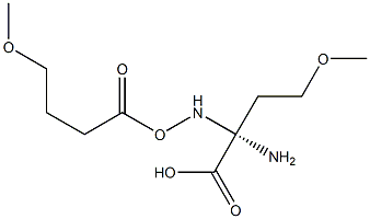 O-METHYL-L-HOMOSERINE, (S)-2-AMINO-4-METHOXYBUTYRIC ACID|