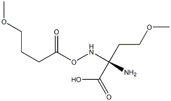  O-METHYL-D-HOMOSERINE, (R)-2-AMINO-4-METHOXYBUTYRIC ACID
