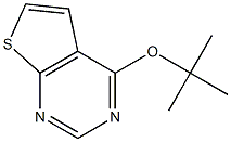 4-(tert-butoxy)thieno[2,3-d]pyrimidine