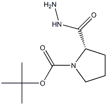 1-t-boc-(S)-pyrrolidine-2-carbohydrazide 化学構造式