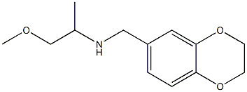 (2,3-dihydro-1,4-benzodioxin-6-ylmethyl)(1-methoxypropan-2-yl)amine Structure