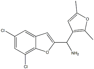 (5,7-dichloro-1-benzofuran-2-yl)(2,5-dimethylfuran-3-yl)methanamine Struktur