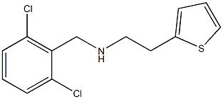 [(2,6-dichlorophenyl)methyl][2-(thiophen-2-yl)ethyl]amine Structure