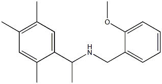 [(2-methoxyphenyl)methyl][1-(2,4,5-trimethylphenyl)ethyl]amine