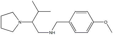 [(4-methoxyphenyl)methyl][3-methyl-2-(pyrrolidin-1-yl)butyl]amine