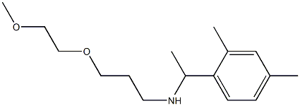 [1-(2,4-dimethylphenyl)ethyl][3-(2-methoxyethoxy)propyl]amine Structure