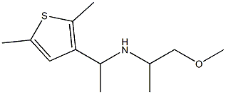[1-(2,5-dimethylthiophen-3-yl)ethyl](1-methoxypropan-2-yl)amine Structure