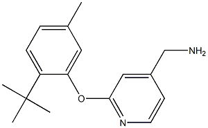 [2-(2-tert-butyl-5-methylphenoxy)pyridin-4-yl]methanamine Structure