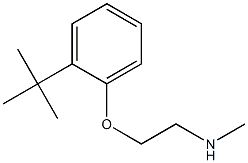 [2-(2-tert-butylphenoxy)ethyl](methyl)amine Struktur