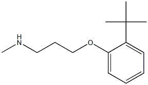 [3-(2-tert-butylphenoxy)propyl](methyl)amine Struktur