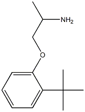 1-(2-tert-butylphenoxy)propan-2-amine 结构式