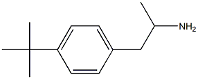 1-(4-tert-butylphenyl)propan-2-amine Structure