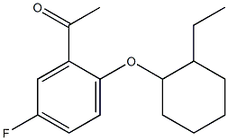  1-{2-[(2-ethylcyclohexyl)oxy]-5-fluorophenyl}ethan-1-one