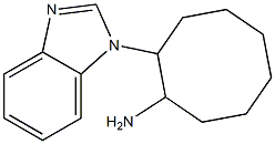 2-(1H-benzimidazol-1-yl)cyclooctanamine Structure