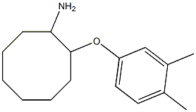 2-(3,4-dimethylphenoxy)cyclooctan-1-amine,,结构式