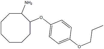 2-(4-propoxyphenoxy)cyclooctan-1-amine