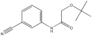 2-(tert-butoxy)-N-(3-cyanophenyl)acetamide Struktur