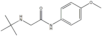 2-(tert-butylamino)-N-(4-methoxyphenyl)acetamide Struktur