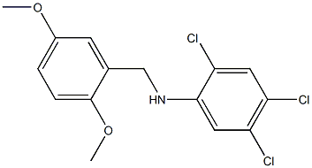 2,4,5-trichloro-N-[(2,5-dimethoxyphenyl)methyl]aniline 结构式