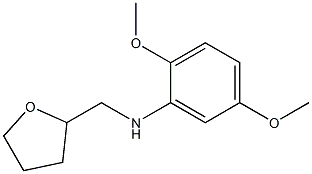 2,5-dimethoxy-N-(oxolan-2-ylmethyl)aniline Structure