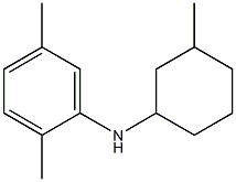 2,5-dimethyl-N-(3-methylcyclohexyl)aniline