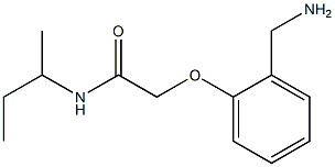 2-[2-(aminomethyl)phenoxy]-N-(sec-butyl)acetamide