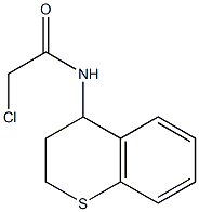 2-chloro-N-3,4-dihydro-2H-thiochromen-4-ylacetamide Structure