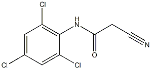 2-cyano-N-(2,4,6-trichlorophenyl)acetamide Struktur