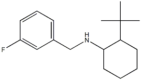 2-tert-butyl-N-[(3-fluorophenyl)methyl]cyclohexan-1-amine Structure