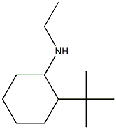 2-tert-butyl-N-ethylcyclohexan-1-amine Struktur