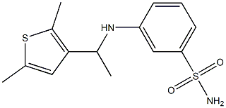  3-{[1-(2,5-dimethylthiophen-3-yl)ethyl]amino}benzene-1-sulfonamide