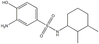  3-amino-N-(2,3-dimethylcyclohexyl)-4-hydroxybenzene-1-sulfonamide