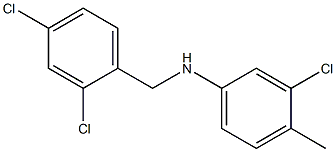  3-chloro-N-[(2,4-dichlorophenyl)methyl]-4-methylaniline