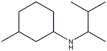 3-methyl-N-(3-methylbutan-2-yl)cyclohexan-1-amine Struktur