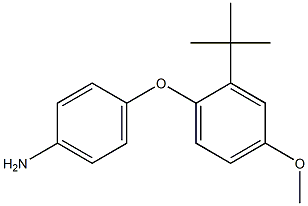 4-(2-tert-butyl-4-methoxyphenoxy)aniline