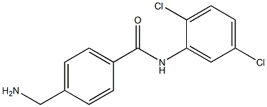  4-(aminomethyl)-N-(2,5-dichlorophenyl)benzamide