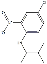 4-chloro-N-(3-methylbutan-2-yl)-2-nitroaniline