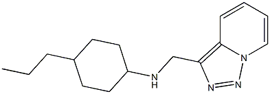  4-propyl-N-{[1,2,4]triazolo[3,4-a]pyridin-3-ylmethyl}cyclohexan-1-amine