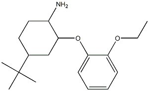 4-tert-butyl-2-(2-ethoxyphenoxy)cyclohexan-1-amine Struktur
